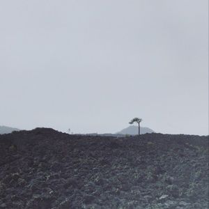 Meet your Posher, Ally